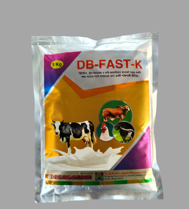 DB-FAST-K
