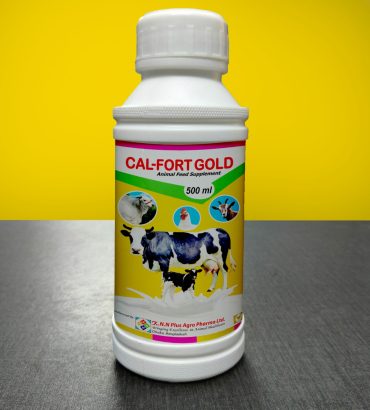 CAL-FORT GOLD