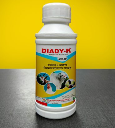 DIADY-K