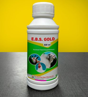 E.B.S. GOLD