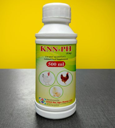 KNN-PH