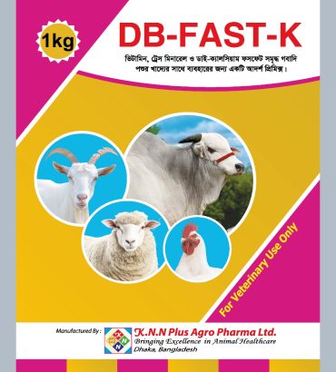 DB-Fast-K