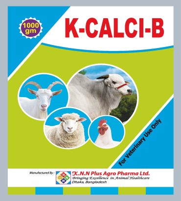 K-Calci-B
