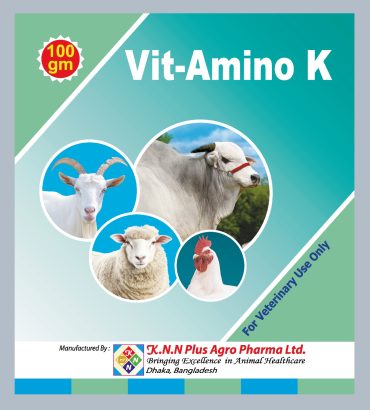 Vit-Amino K